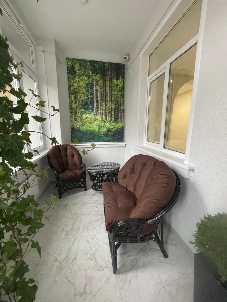  лес в онко (2)